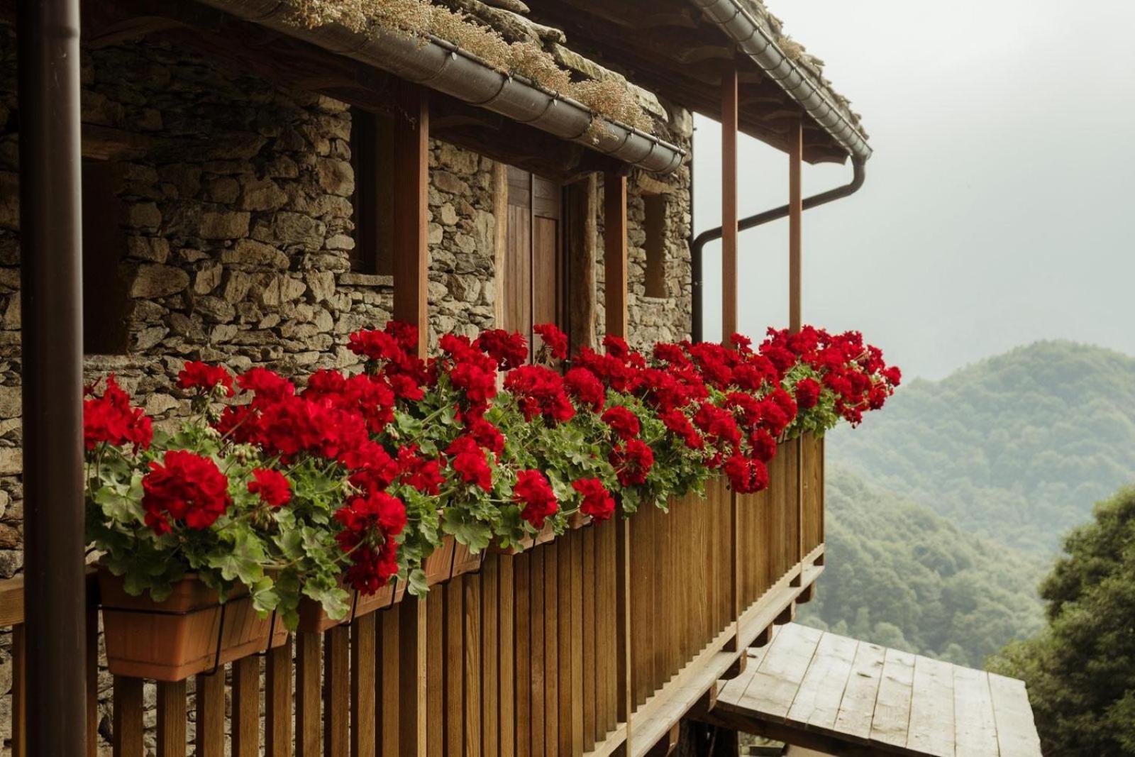 Le Baite di Baudinet - Trek&Relax Bed & Breakfast Chiusa di Pesio Bagian luar foto
